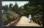 NEW ZEALAND 1907 Postcard FT series Botanical Gardens Wgtn. Posted Wgtn 12/4/07. To Pay 1d Postage due tied full Napier A class