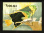 BENIN 1996 Fish Miniature sheet. - 20511 - UHM