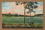 Coloured postcard of The Domain Cricket Ground. - 45193 - Postcard