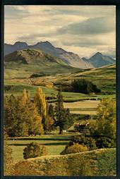 Modern Coloured Postcard in large size of Rural New Zealand. Probably Central Otago. - 100447 - Postcard