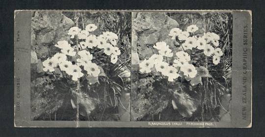 Stereo card New Zealand Graphic series of Ranubclus Lyalli McKinnon Pass. Creases. - 140045 - Postcard