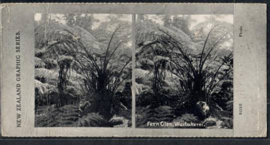 Stereo card New Zealand Graphic series of Fern Glen Waitakerei. - 140087 - Postcard