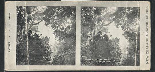 Stereo card New Zealand Graphic series. On the Waitakerei Ranges. Damage. - 140089 - Postcard