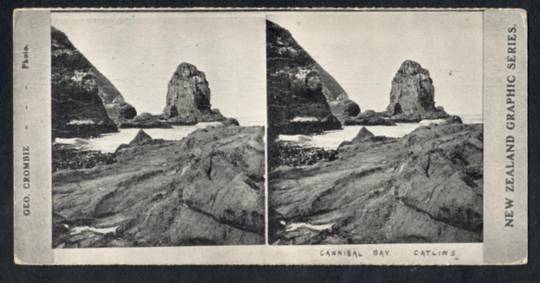 Stereo card New Zealand Graphic series of Cannibal Bay Catlins. - 140111 - Postcard