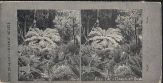 Stereo card New Zealand Graphic series of Fern Glen Okoroire Bush. - 140913 - Postcard