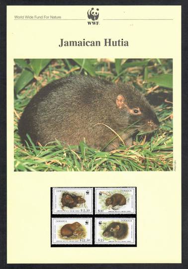 JAMAICA 1996 World Wildlife Fund. Jamaican Huita. Set of 4 in mint never hinged and on first day covers with 6 pages of official