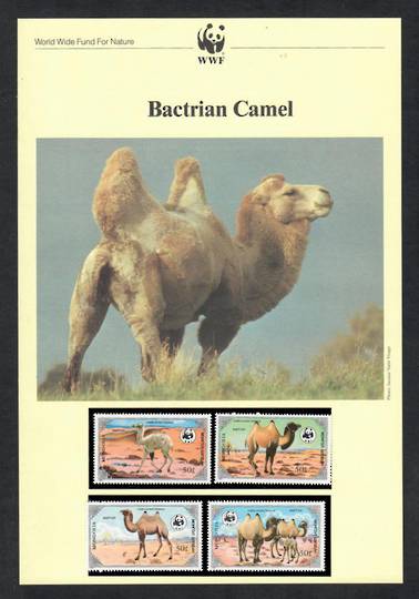 MONGOLIA 1985 World Wildfile Fund. Bactrian Camel. Set of 4 in mint never hinged and on first day covers with 6 pages of officia