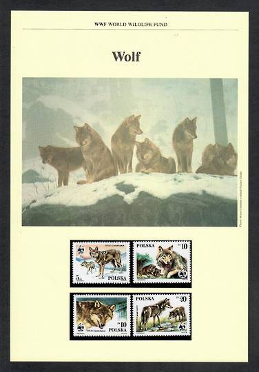 POLAND 1985 World Wildfile Fund. Wolf. Set of 4 in mint never hinged and on first day covers with 6 pages of official text. The