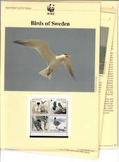 SWEDEN  1994 World Wildlife Fund Birds. Set of 4 in mint never hinged and on first day covers with 6 pages of official text. The
