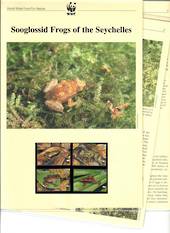 SEYCHELLES 2003 World Wildlife Fund Sooglossid Frog. Set of 4 in mint never hinged and on first day covers with 6 pages of offic