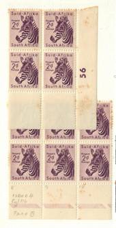 SOUTH AFRICA 1954 Definitive 2d Plum. Block of 4 Plate 56. Block of 6.identified as issue 4 Cylinder 116 Pane B Vertical Rows 8