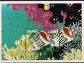 GHANA Fish Miniature sheet. - 20913 - UHM