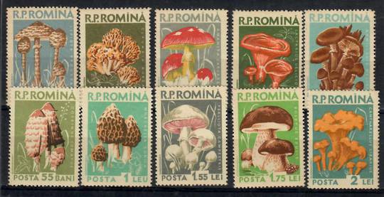 RUMANIA 1958 Fungi. Set of 10. - 23755 - UHM