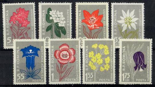RUMANIA 1957 Flowers of the Carpthian Mountains. Set of 8. - 23759 - UHM