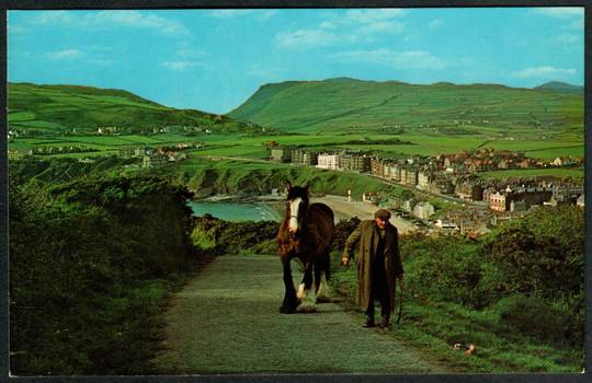 ISLE OF MAN Port Erin Coloured Postcard. - 242519 - Postcard