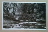 Real Photograph of The Birks o' Aberfeldy. - 242562 - Postcard