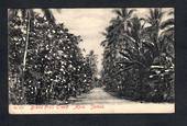 SAMOA Postcard of Bread Fruit Trees Apia Samoa. - 243840 - Postcard
