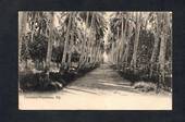 FIJI Postcard of Cocoanut Plantation. - 243855 - Postcard