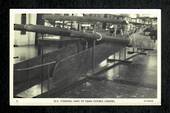 FIJI Real Photograph of 32ft Steering Oars of Double Canoe. Museum display. - 243875 - Postcard