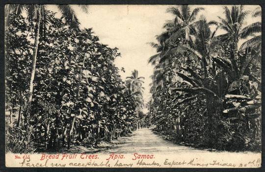 SAMOA Postcard of Bread Fruit Trees Apia. NEW ZEALAND Postmark Greymouth BRUNNERTON. - 243879 - Postcard