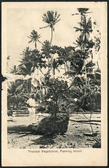 GILBERT & ELLICE ISLANDS Postcard of Tropical Vegetation Fanning Island. Damage. - 243904 - Postcard