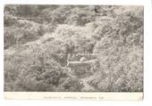 Postcard of Hamueana Spring Rotorua. - 245936 - Postcard