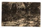 Real Photograph published by Tanner of Fairy Spring Rotorua. - 245961 - Postcard