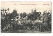 Postcard by Muir & Moodie of Sanatorium Grounds Rotorua. - 246053 - Postcard