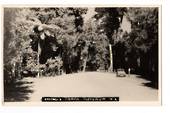 Real Photograph by N S Seaward of Hongi's Track Rotorua. - 246136 - Postcard