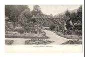 Early Undivided Postcard of Botannical Gardens Wellington. - 247350 - Postcard