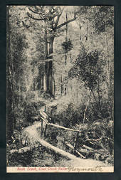 Postcard of Bush Track Coal Creek Falls Greymouth. - 248776 - Postcard