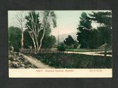 Coloured Postcard by Muir & Moodie of Botannical Gardens Dunedin. - 249102 - Postcard