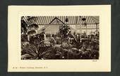 Real Photograph by Muir & Moodie of Winter Gardens Dunedin. - 249119 - Postcard