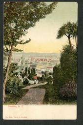 Early Undivided Coloured Postcard by Muir and Moodie of Dunedin. - 249127 - Postcard