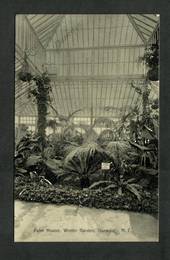 Postcard of Palm House Winter Gardens Dunedin. - 249138 - Postcard