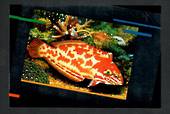 AUSTRALIA 1988 Expo Postcards of Tropical Fish. 5 cards. - 32279 - Postcard