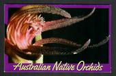 AUSTRALIA 1986 Orchids. Set of 4 in presentation pack. - 32290 - UHM