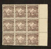 NEW ZEALAND 1898 Pictorial ½d Purple-Brown. Block of 9. CP E1a. London Print. - 37902 - UHM