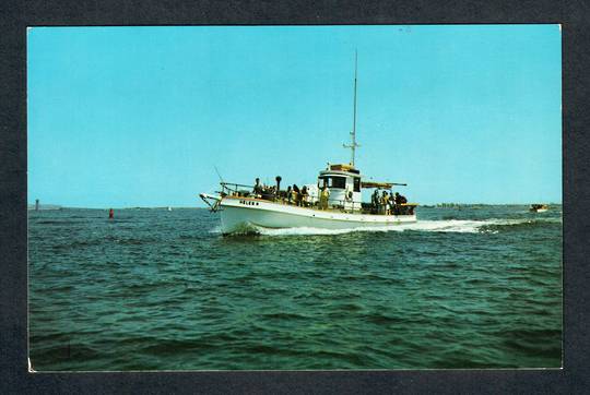 USA Two Coloured postcards of Deep Sea Fishing Launches "Helen H" and "Effort". Advertising cards. - 40488 - Postcard