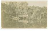 Real Photograph of Park and Bridge. Almost certainly New Plymouth. - 40789 - Postcard