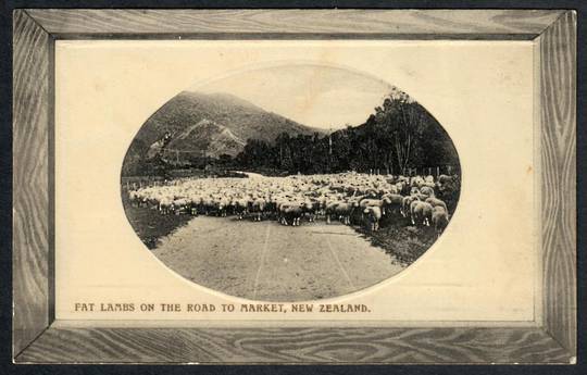 FAT LAMBS on the road to maket New Zealand 1910 Real Photograph - 41448 - Postcard