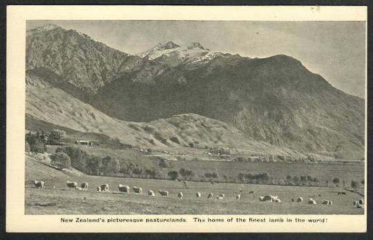 Postcard of New Zealand's Picturesque Pasturelands. The home of the finest lamb in the world. - 41761 - Postcard