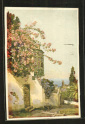 Coloured art postcard. Mediterranean building adorned by flowers. - 42051 - Postcard
