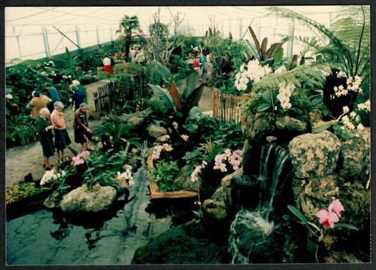 FLEUR INTERNATIONAL Orchid Gardens Rotorua. Two photographs Seem to be sold on site. - 42091 - Postcard