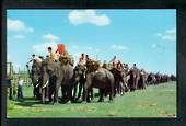 THAILAND Coloured Postcard of Parade of Elephants. Sent to New Zealand. - 42128 - Postcard