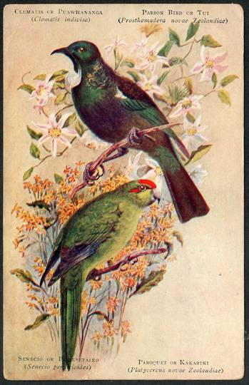 TUI and KAKRIKI New Zealand Birds. Coloured Postcard. - 43525 - Postcard