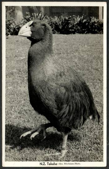 TAKAHE Real Photograph  by G Nicholson. - 43540 - Postcard