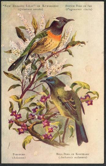 TUI and ORIMAKO New Zealand Birds. Coloured Postcard. - 43557 - Postcard