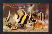 Coloured postcard of Storck Aquarium Suva. - 43805 - Postcard
