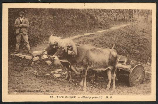 CATTLE Type BASQUE Postcard. - 441446 - Postcard